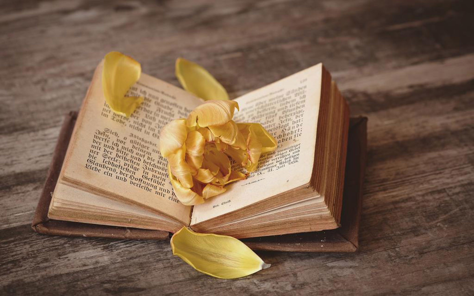 高级职称论文查重率的标准是多少？