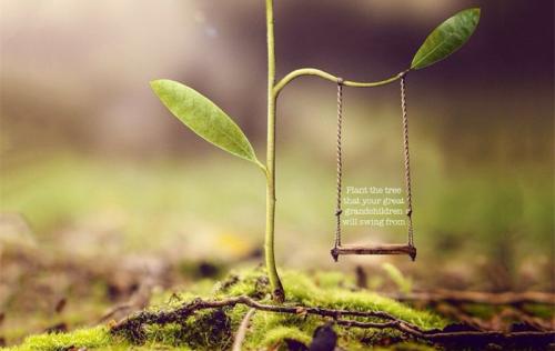 在PaperPass上论文是如何查重的