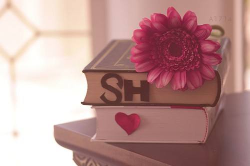 论文查重多少钱一次，查重需要注意哪些问题