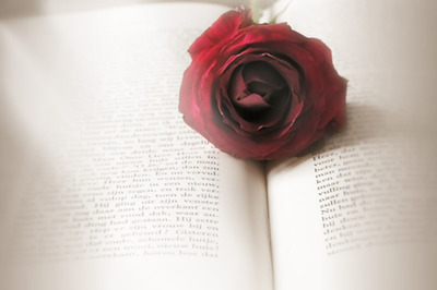 了解论文抄袭率检测原理 让论文顺利过关