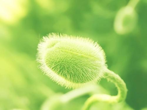 怎么去使用百度学术的论文查重