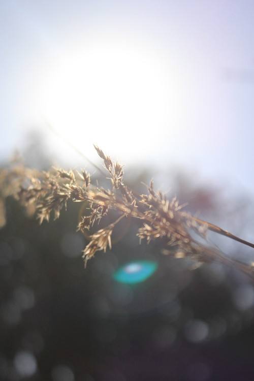 小语种论文查重该怎么操作？