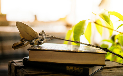 为什么要说论文对我们是极其重要的呢?