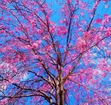 毕业季来临:三步让你知道论文答辩的正确姿势!