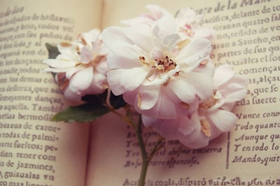 知网查重和万方查重的区别有多大?