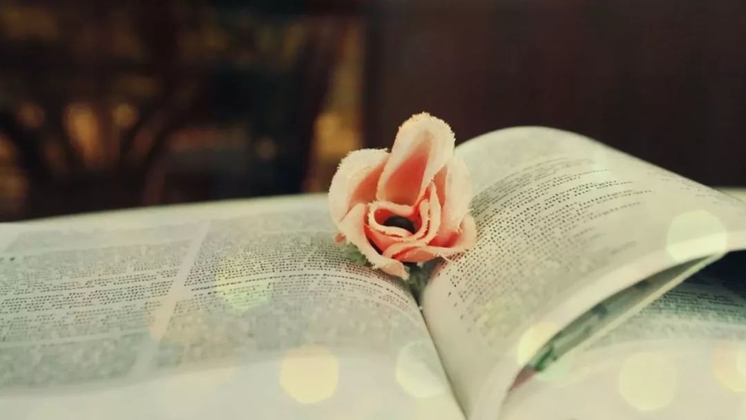 知网查重后重复率问题要怎么处理?