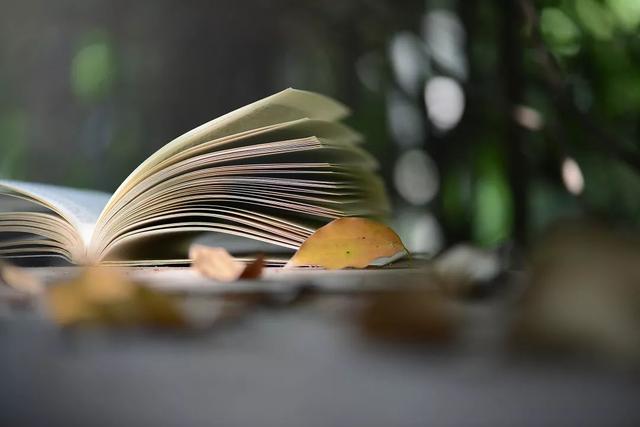 通常论文在哪里发表